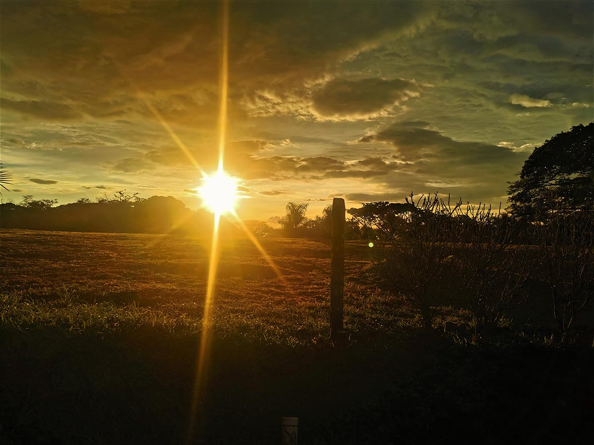 Central Valley Real Estate: What Remote Workers Need to Know Before Moving to Costa Rica