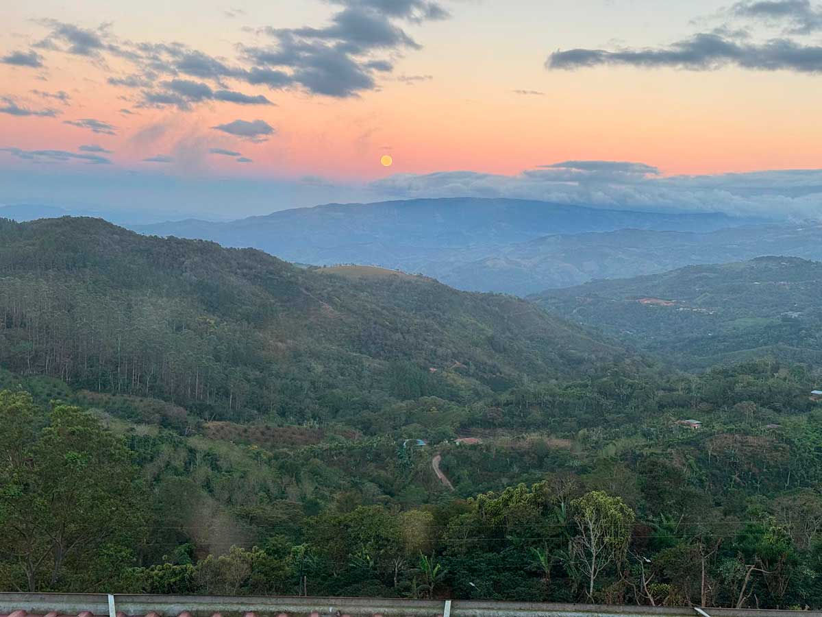 The ‘Caja’ and the Law: A Stress-Free Guide to Hiring in Costa Rica