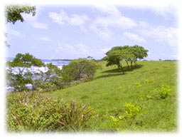 Beach front lot