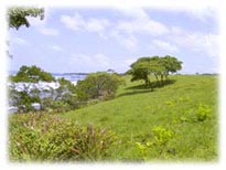 Costa Rica Beach Real Estate