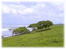 Costa Rica beach