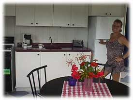 bargain ocean view properties in costa rica