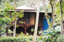 punta uva beach
