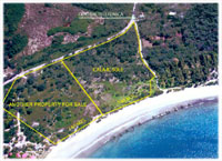 guanacaste beachfront real estate