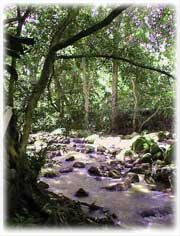  venta Costa Rica