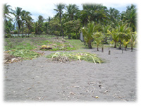 Investment opportunity in the Pacific Coast (Hotel land in Puntarenas)