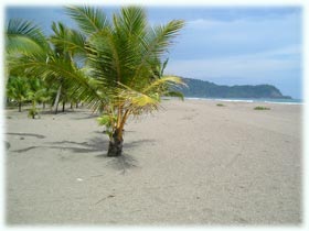 Jaco Beach Real Estate