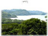 Ocean view Real Estate