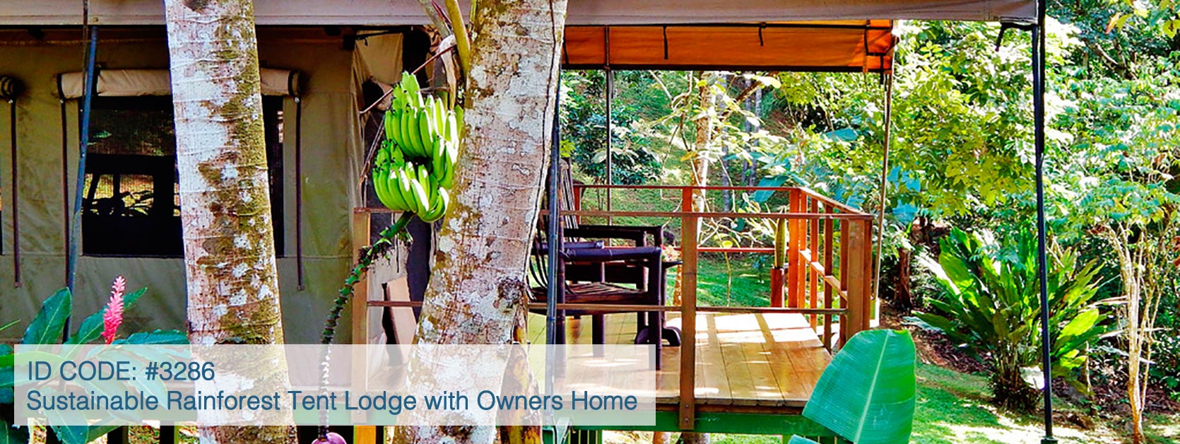 Sustainable Rainforest Tent Lodge with Owners Home, River frontage and Waterfalls!
