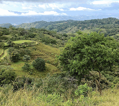 Splendorous Views on this Sustainable Development Site | 52 Acres with Infrastructure and River!