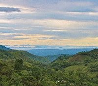 Mountain Dream Property | 16 Acres with 2 Homes
