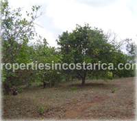 32 rich hectares of Guanacaste land for sale