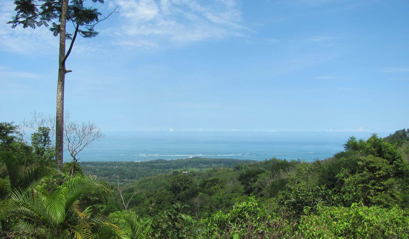 Big Lots Financing >> Whaile's Tail View Lot for Sale, ID CODE: #3042 Big Lots Financing >> Whaile's Tail View Lot for Sale, ID CODE: #3042