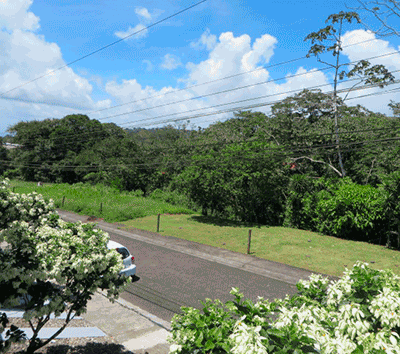 Ideal Investment opportunity in Ciudad Quesada apartment building with great ROI