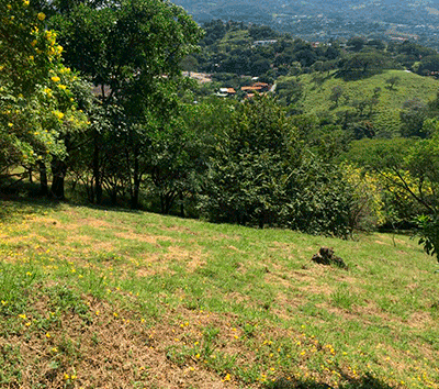Amazing lot inside one of the most sought after gated communities in Santa Ana