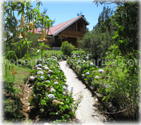 Costa Rica Real Estate