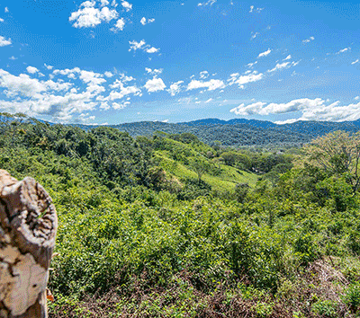Birdwatchers boutique hotel with mountain and ocean views in the Central Pacific Coast