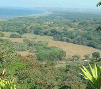 Beautiful Oceanview Lot