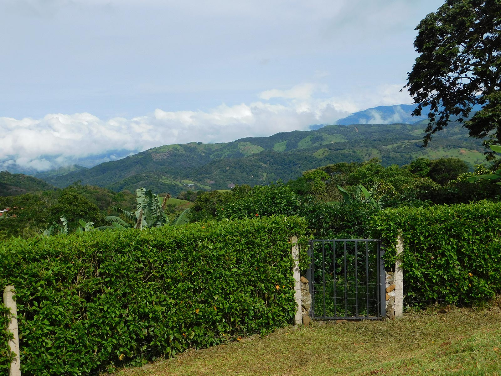 central valley mountains, house for sale in safe area of costa rica