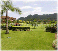 Del Mar Fully Furnished Condo for Sale at Los Sueños Resort