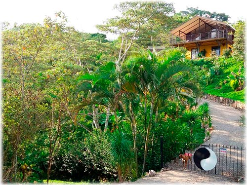 wildlife, sanctuary, monkeys, creek, water, landscape, house, coffee farm, birds, nature, forest, jungle, views, mountains, fruit, trees, seeds, flowers