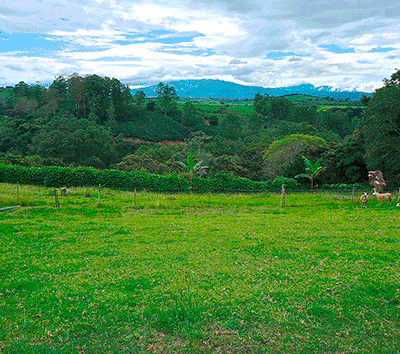 Sustainable Lifestyle Property or Investment Development Land in Grecia