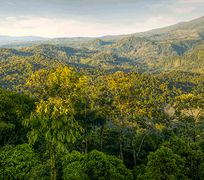 One of the most sublime views in Costa Rica from this magnificent mountaintop farm