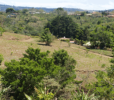 Enjoy Privacy in this Secluded Lot, Ready to Build a Home Just Minutes Away from Santa Barbara, Heredia