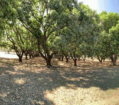 Lot in Orotina With Close Proximity to Route 27