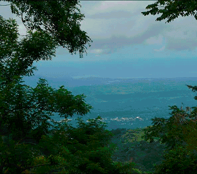 Great Investment Coffee Farm and Residential Eco-Development Property