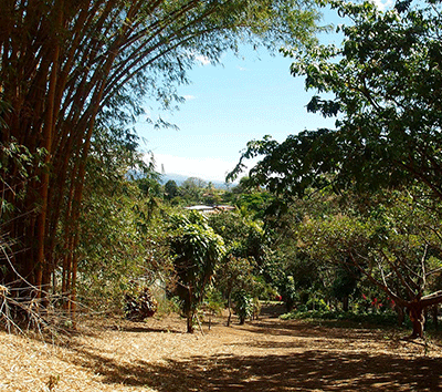 Prime Buildable Lot in Upscale, Nature Minded Villa|Hotel Project in Naranjo-Views of Volcan Poas!