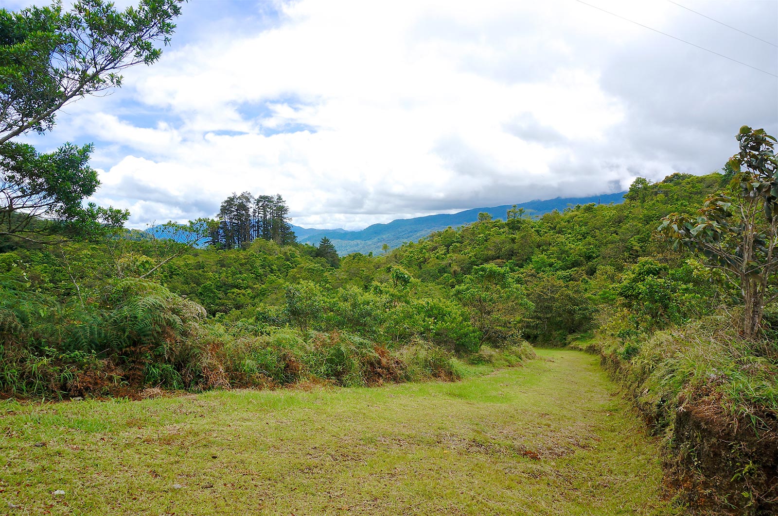 Large Tract of Raw Land on the "Path of Growth" with Endless