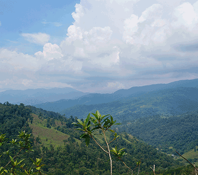 Large Tract of Raw Land on the 'Path of Growth' with Endless Development Possibilities