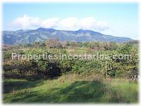 Large and subdivided finca in Hojancha