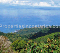 5 large acres of pure Costa Rica nature, wildlife and ocean-mountain views ready to be yours!