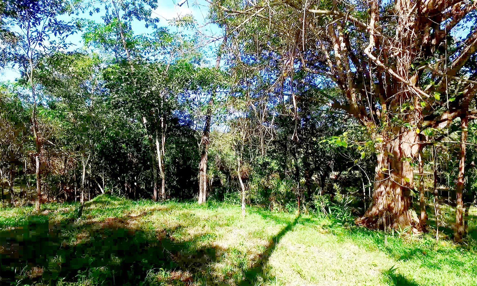 Owner Financed Properties For Sale In Costa Rica Owner Financed Properties For Sale In Costa Rica