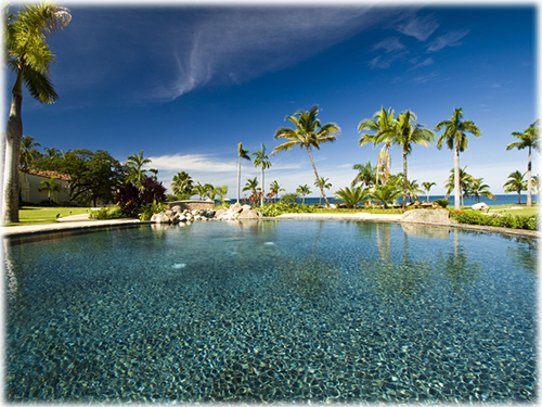 Tamarindo Beach Bar For Sale Tamarindo Beach Bar For Sale