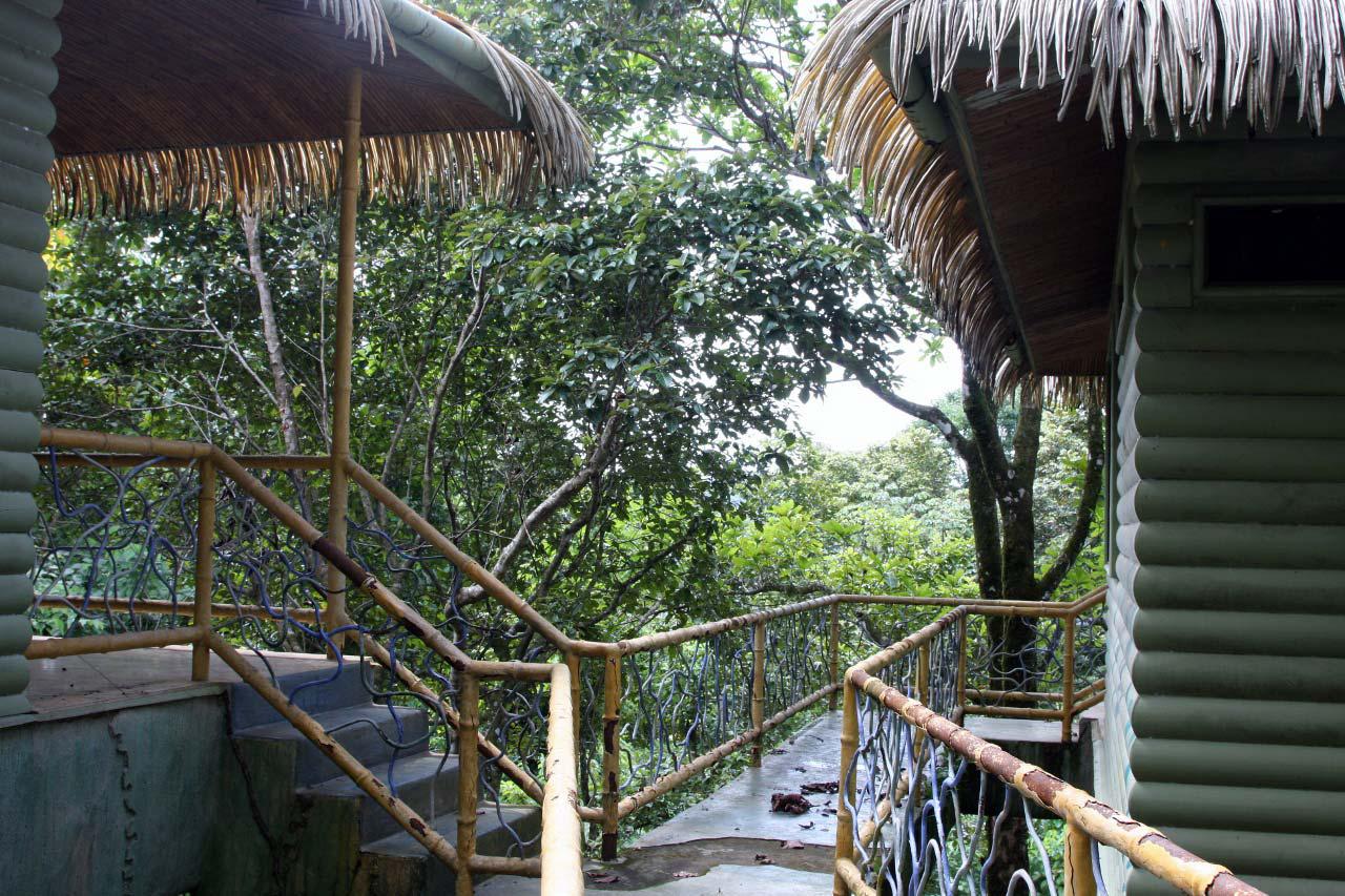 Uncategorized Houses In The Jungle mountain houses surrounded by jungle id code 2951 real state for sale house tree south pacific estate