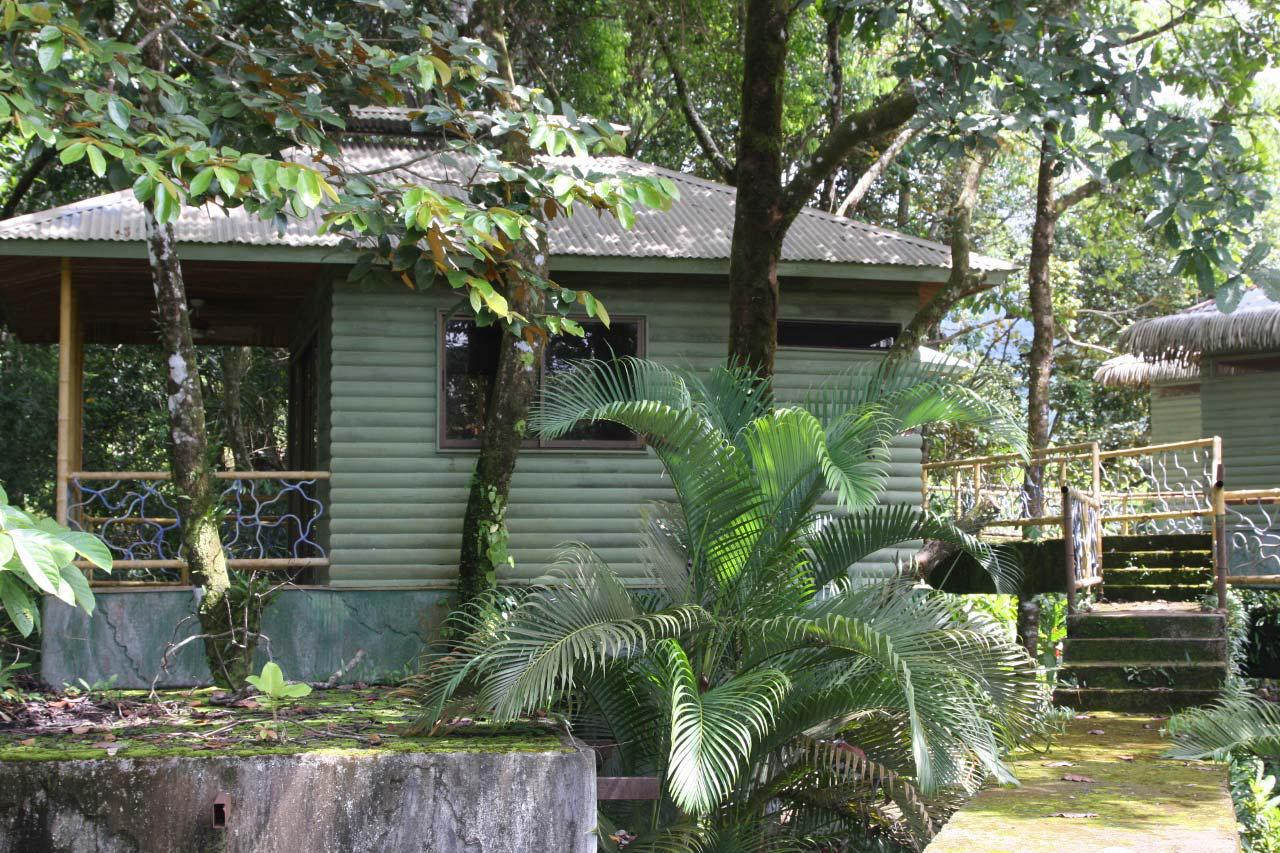 Uncategorized Houses In The Jungle mountain houses surrounded by jungle id code 2951 real state for sale house tree south pacific estate