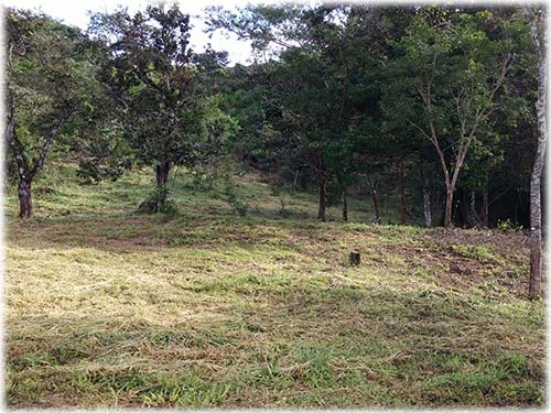 Epic views and tropical gardens, warm weather and cool breezes are just what the doctor ordered. This little paradise is inside a small development just 20 minutes from the City of San Ramon, and an hour from the Capitol. Whether you are looking for a project to live and invest, or just seeking a private lot to build your dream home, don't skip seeing this little gem.