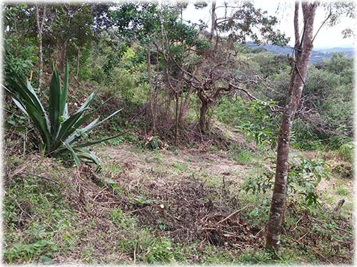 Epic views and tropical gardens, warm weather and cool breezes are just what the doctor ordered. This little paradise is inside a small development just 20 minutes from the City of San Ramon, and an hour from the Capitol. Whether you are looking for a project to live and invest, or just seeking a private lot to build your dream home, don't skip seeing this little gem.