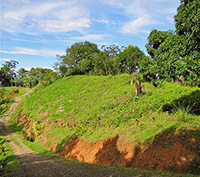 Beautiful Ballena Ridge with Ocean Views
