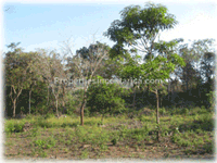 Investment Land for Sale in Costa Rica