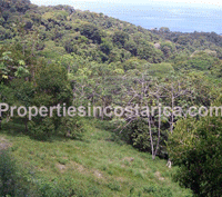 Pacific edge ridge lot for sale in Dominical