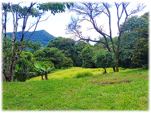 Costa Rica, Land, for sale, Santa Ana, mountain, city, panoramic, views, own water, land bank