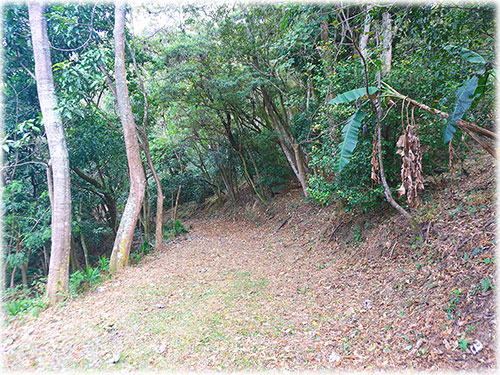 Costa Rica, Land, for sale, Santa Ana, mountain, city, panoramic, views, own water, land bank