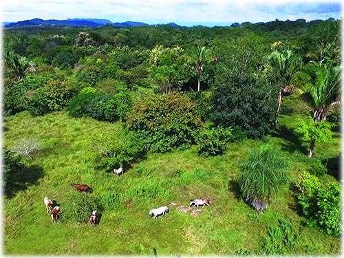 montezuma real estate, personal paradise, land for sale, lots in montezuma, pacific, costa rica, investment