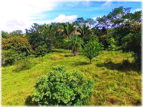 montezuma real estate, personal paradise, land for sale, lots in montezuma, pacific, costa rica, investment