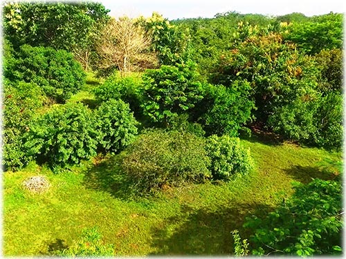 montezuma real estate, personal paradise, land for sale, lots in montezuma, pacific, costa rica, investment