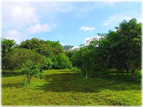 montezuma real estate, personal paradise, land for sale, lots in montezuma, pacific, costa rica, investment